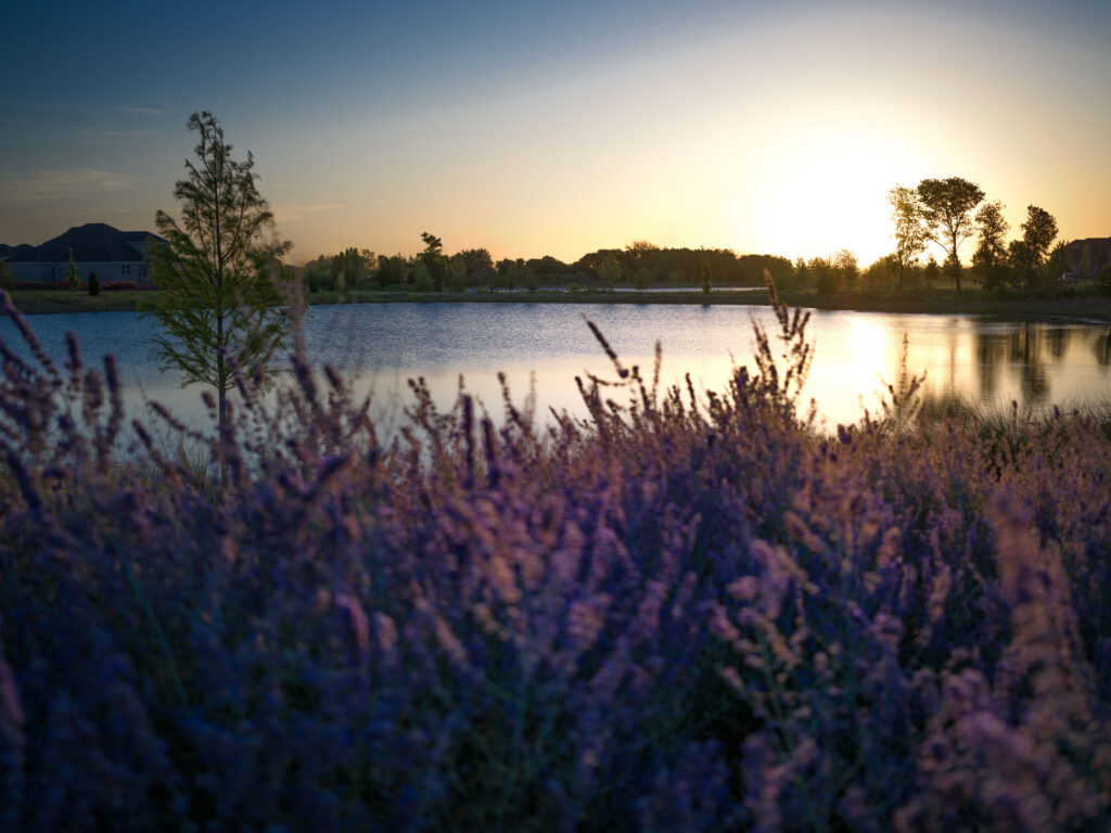 GoodLand Pond