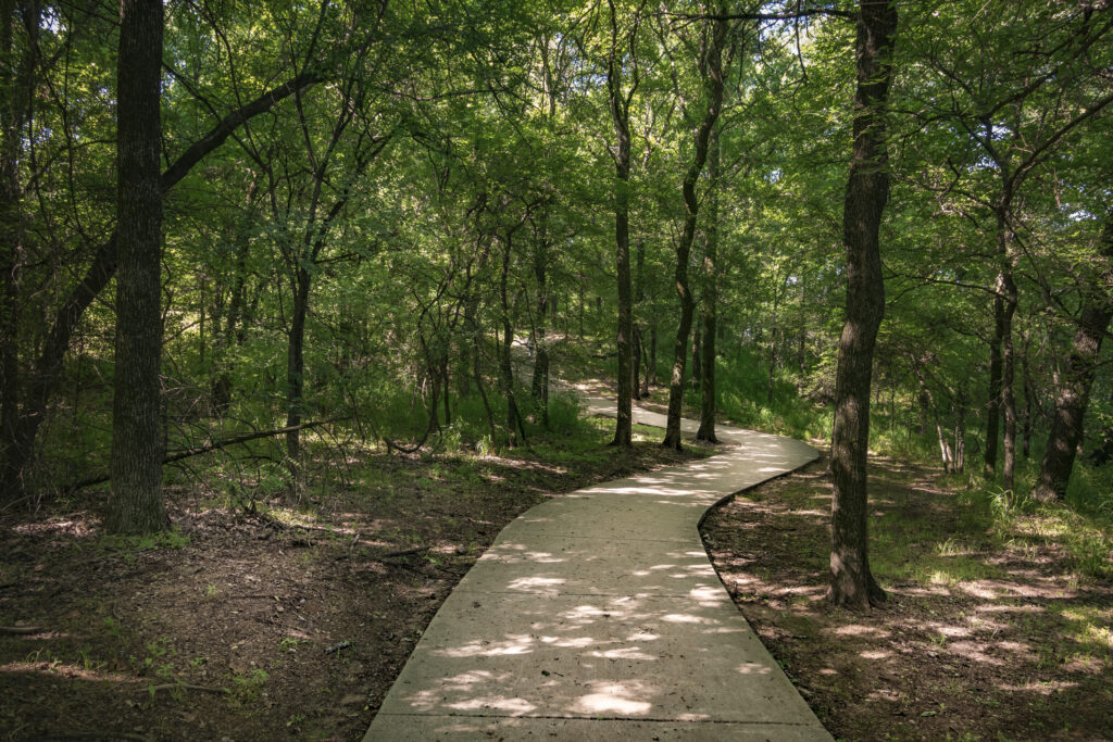 paloma creek Walking trail 
